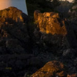 Profile picture of Side Effect