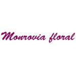 Profile picture of Monrovia Floral-Flower Delivery
