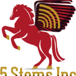 Profile picture of Larry Jordan II Buffalo NY 5 stems inc