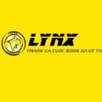 Profile picture of Dudoantysodemnay