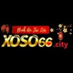 Profile picture of xoso66 trang cá cược xổ số