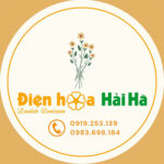 Profile picture of Điện hoa Hải Hà