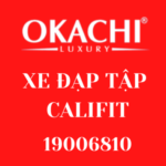 Profile picture of Xe đạp tập Okachi