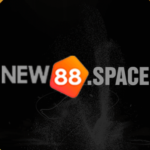 Profile picture of New88 Casino