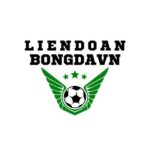 Profile picture of Liên Đoàn Bóng Đá VN