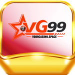 Profile picture of vg99casino