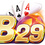 Profile picture of B29