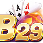 Profile picture of B29casino