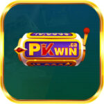 Profile picture of Pkwin Ca