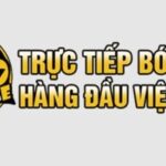 Profile picture of socoliveammbrfinance