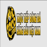 Profile picture of Socolive