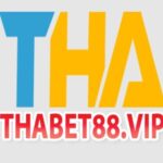 Profile picture of thabet88vip