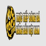 Profile picture of Socolive3Link