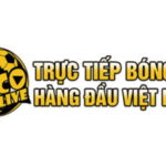 Profile picture of socolivehctrun