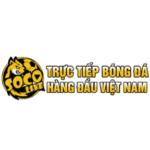 Profile picture of Socolive 6 Link