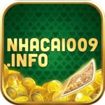 Profile picture of nhacai009info