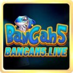 Profile picture of bancah5live1