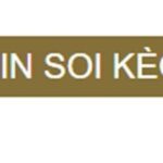 Profile picture of tinsoikeosite