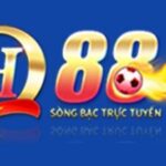 Profile picture of qh88appwiki