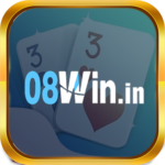 Profile picture of 08winin