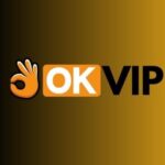 Profile picture of Okvipnet