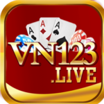 Profile picture of vn123 live