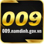 Profile picture of 009namdinhgovvn
