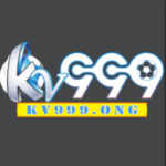 Profile picture of KV999