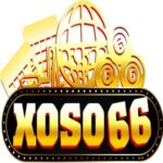 Profile picture of Xoso66
