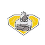 Profile picture of BULLDOGCDLSCHOOL