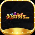 Profile picture of vnd555me