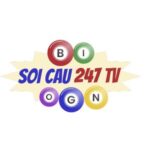 Profile picture of Soi Cầu 247