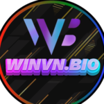 Profile picture of winvnbio