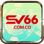 Profile picture of sv66 comco