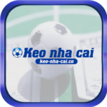 Profile picture of keonhacaico1