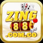 Profile picture of zing88 comco