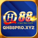 Profile picture of qh88proxyz