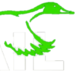 Profile picture of PINTAIL D&C Inc.