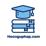 Profile picture of Ngữ pháp nền tảng