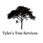 Profile picture of tylerstreeservices