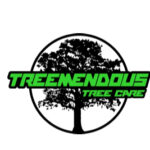 Profile picture of treemendoustreecarellc