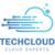 Profile picture of TechCloud IT Services L.L.C.