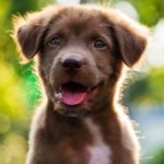 Profile picture of ESA Letter