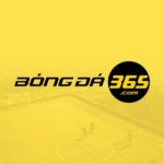 Profile picture of Bóng Đá 365
