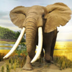 Profile picture of Tô Hoài