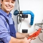 Profile picture of Lynne Wiggins